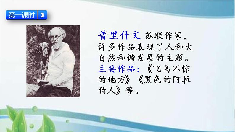 16 金色的草地 课件+视频03