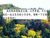 20 美麗的小興安嶺 課件+視頻