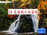 20 美麗的小興安嶺 課件+視頻