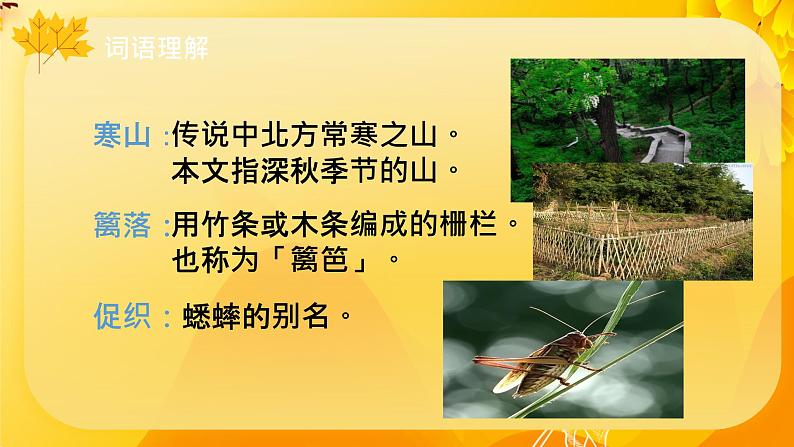 人教部编版三年及语文上册 4 古诗三首 课件第6页