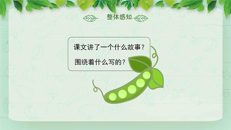 部编版小学语文四年级上册《一个豆荚里的五粒豆》PPT06