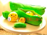 5.《一个豆荚里的五粒豆》课件