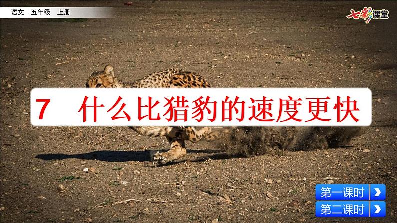 7 什么比猎豹的速度更快 课件+视频02