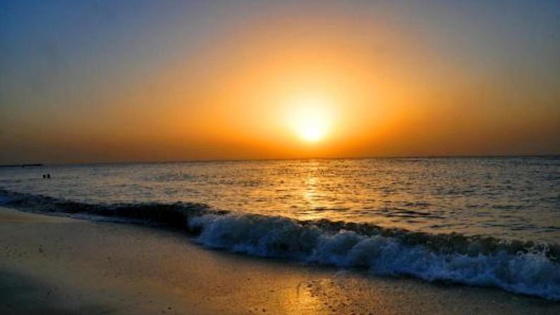 15 小岛 课件+视频04