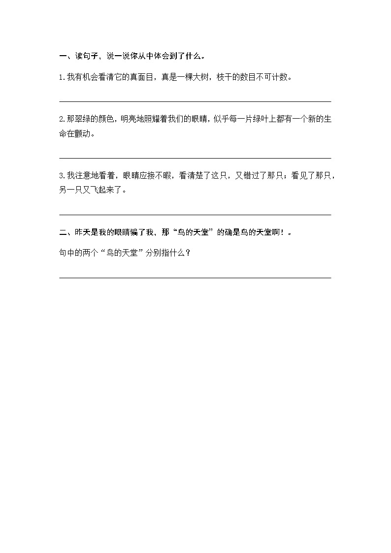 23 鸟的天堂 同步练习02