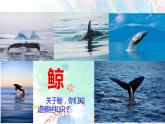 五年级上册第五单元 习作例文 课件