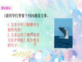 五年级上册第五单元 习作例文 课件