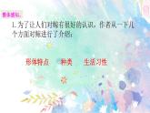 五年级上册第五单元 习作例文 课件