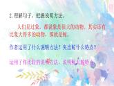 五年级上册第五单元 习作例文 课件