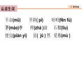 2、落花生 课件