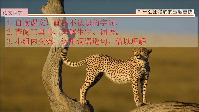 7、什么比猎豹的速度更快 课件03