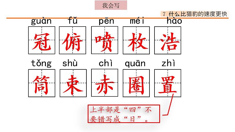 7、什么比猎豹的速度更快 课件04