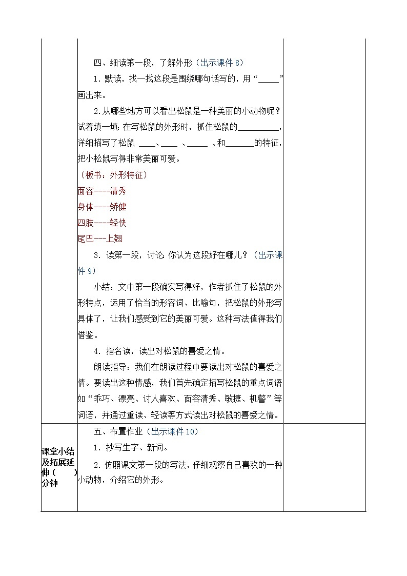 17、松鼠 教案03