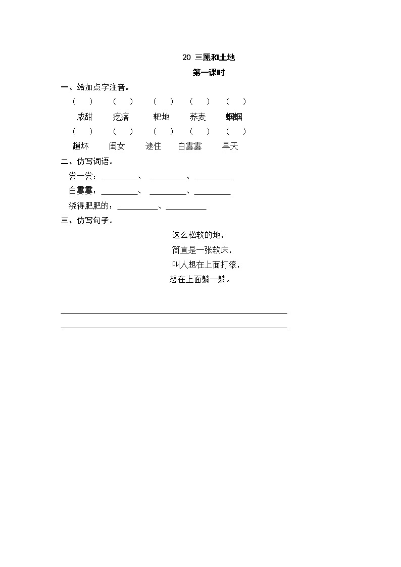 19 三黑和土地 同步练习01