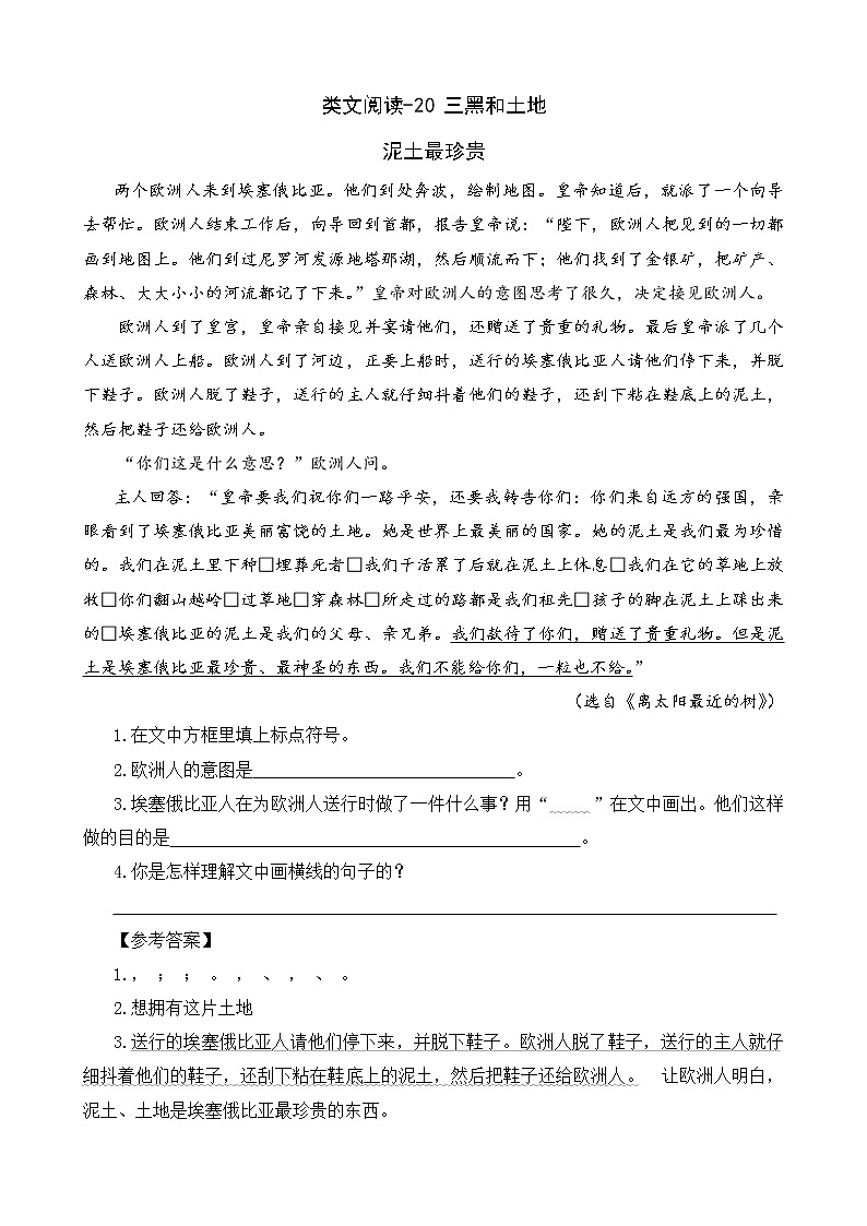 类文阅读-19 三黑和土地（1） 试卷01