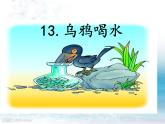 一年级上册第八单元13 乌鸦喝水 课件+音频