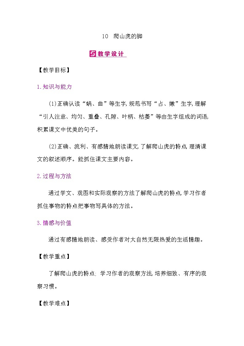 10.爬山虎的脚教案01