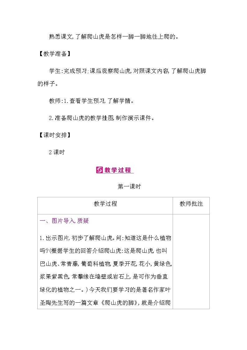 10.爬山虎的脚教案02