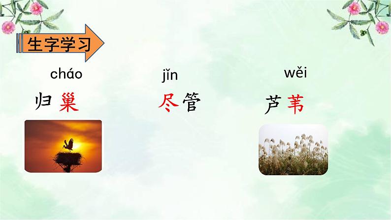 3.现代诗两首课件05