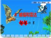 6.蝙蝠和雷達(dá)拓展積累課件