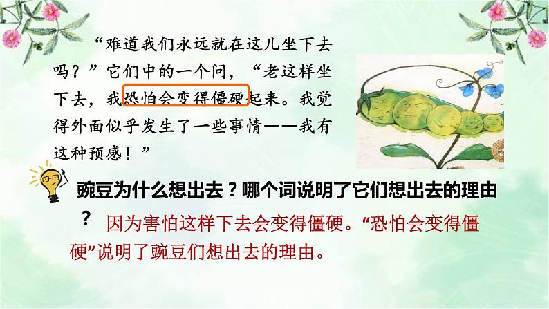 5.一个豆荚里的五粒豆品读释疑课件06