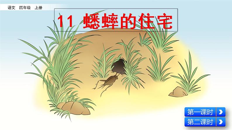 11蟋蟀的住宅课件03