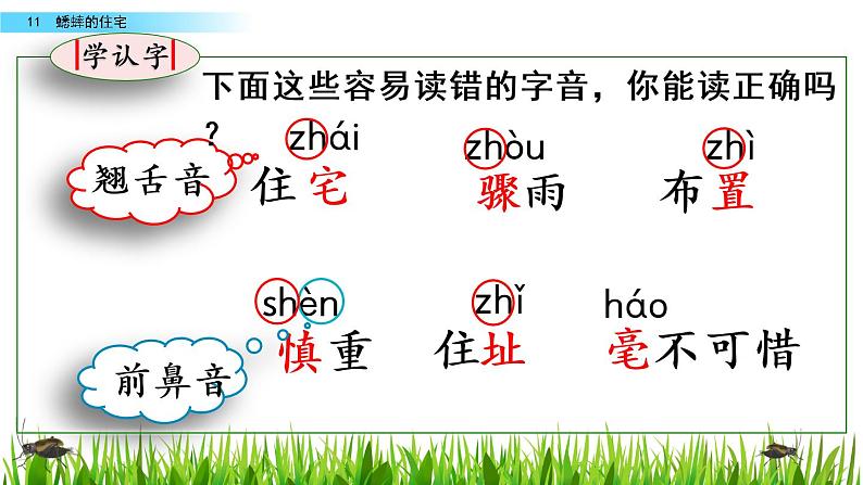 11蟋蟀的住宅课件05