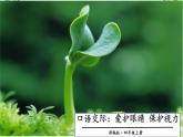 口語交際：愛護眼睛 保護視力 課件