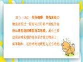三年级语文上册《在牛肚子里旅行》 课件