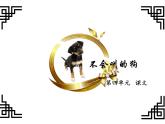 14《不会叫的狗》公开课课件