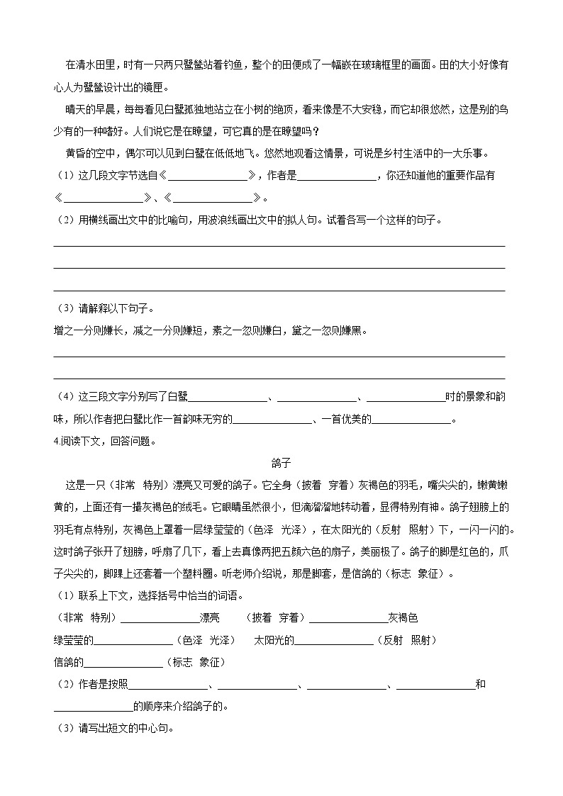 部编版五年级语文上册  第一单元 1. 白鹭 现代文专题训练 (含答案)02