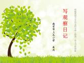 四上3.《习作：写观察日记》教学课件