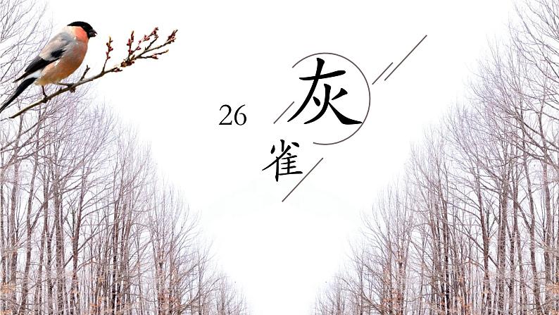 26《灰雀》课件ppt三上01