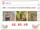 19 《一只窝囊的大老虎》部编版四年级语文上册课件