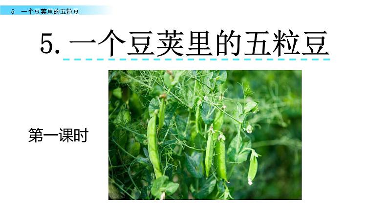 5《一个豆荚里的五粒豆》课件第1页