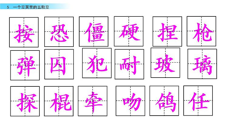5《一个豆荚里的五粒豆》课件第3页