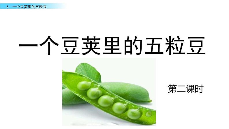 5《一个豆荚里的五粒豆》课件第4页
