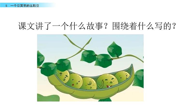 5《一个豆荚里的五粒豆》课件第6页