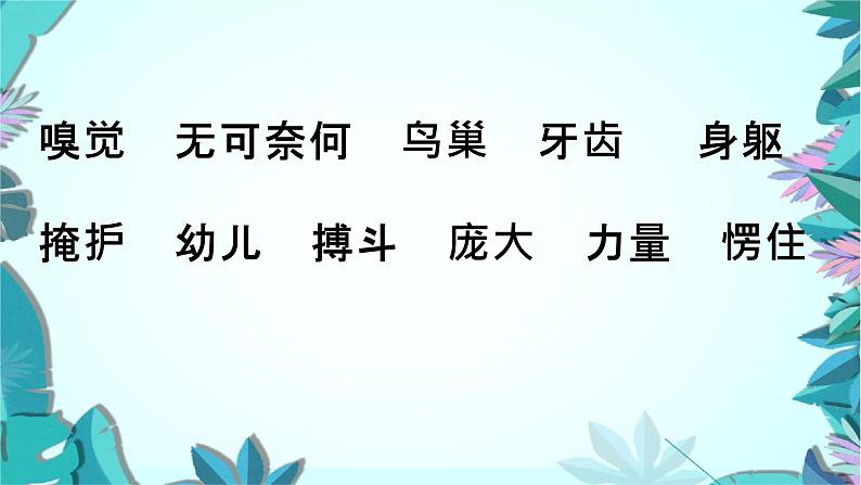 人教版四上麻雀第一课时课件第2页