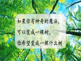 部编本三下17《我变成了一棵树》课件