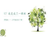 部编本三下17《我变成了一棵树》课件