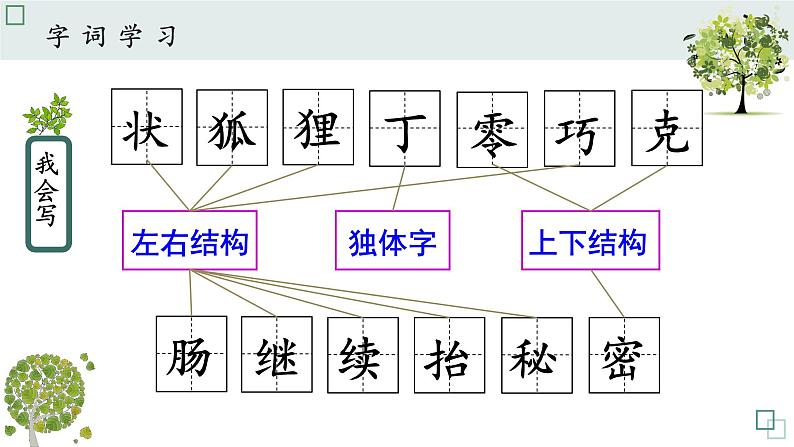 部编本三下17《我变成了一棵树》课件第7页