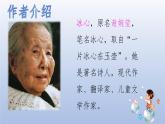 人教版部编本三年级下册20《肥皂泡》课件