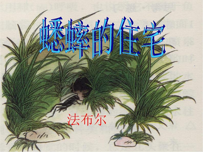 人教部编本四年级上册11、蟋蟀的住宅第2页