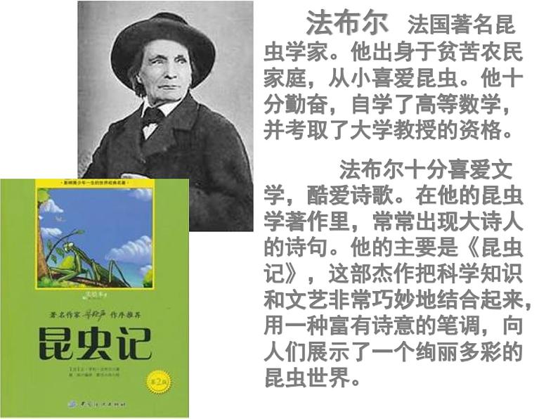 人教部编本四年级上册11、蟋蟀的住宅第6页