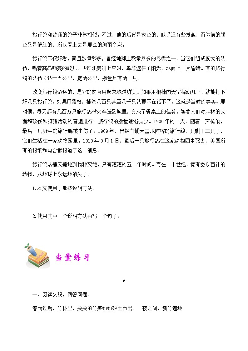 【精品讲义】四年级（语文）上册  拓展训练讲义 第5讲：说明方法及作用（学生版）03