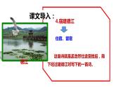 人教部编版（五四学制）六年级上册第4课《古代诗歌三首—宿建德江》【教学课件】  (共16张PPT)