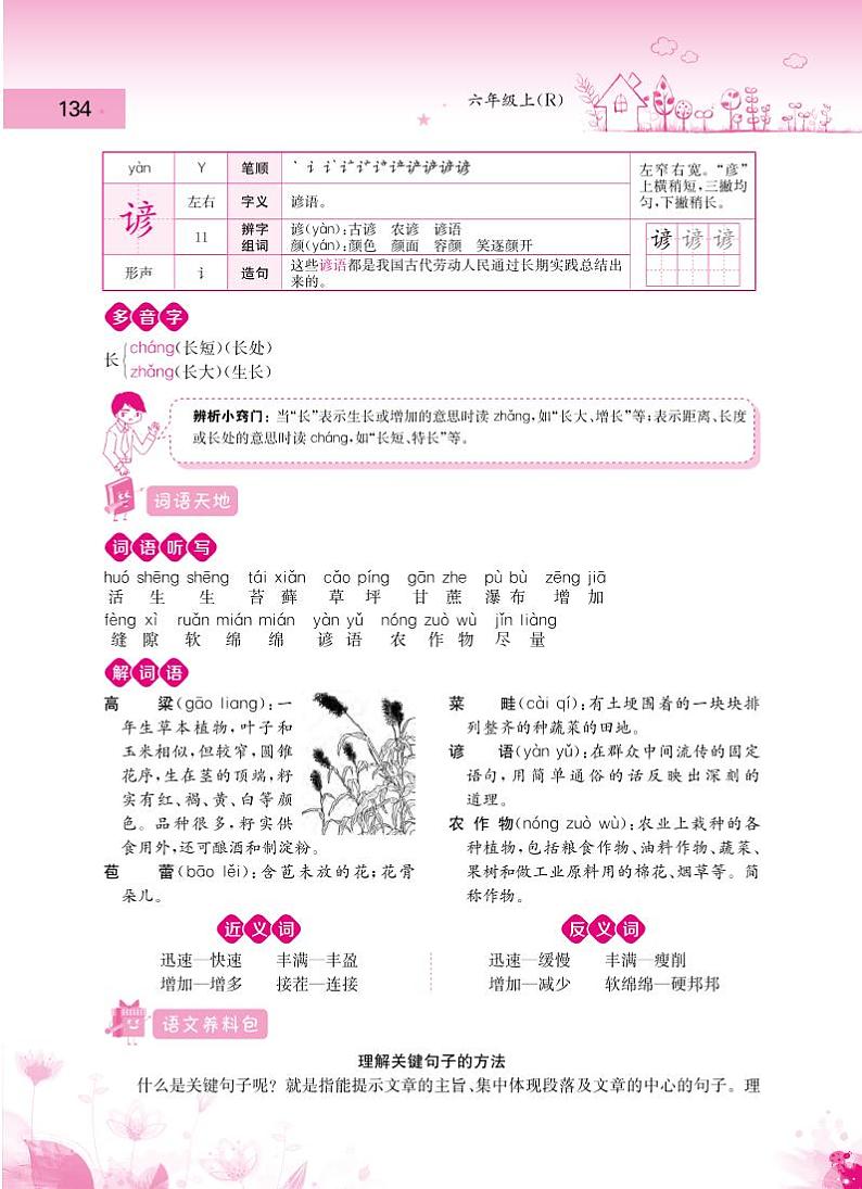 人教部编版六年级语文上册备课素材知识详解 第五单元第3页