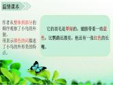 部编版语文小学三年级上册（课堂教学课件2）习作五    我们眼中的缤纷世界
