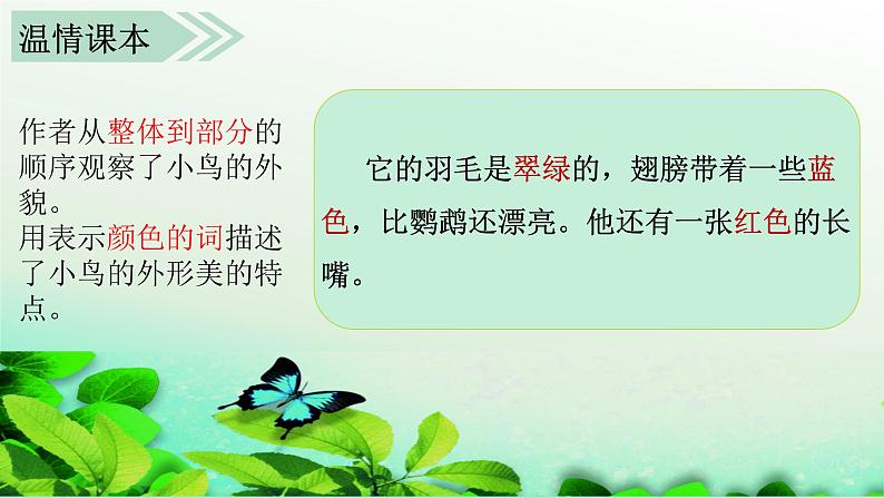 部编版语文小学三年级上册（课堂教学课件2）习作五    我们眼中的缤纷世界第3页